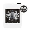 ISOLDA Silver hair&body