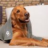 VILEDA Pet Pro Microfibre rucnik2